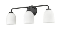 22.75'' Norah Matte Black 3 Light Bath Vanity