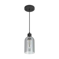 Lochemeade 4.5-inch 1-light Natural Black Iron Pendant with Smoked Glass