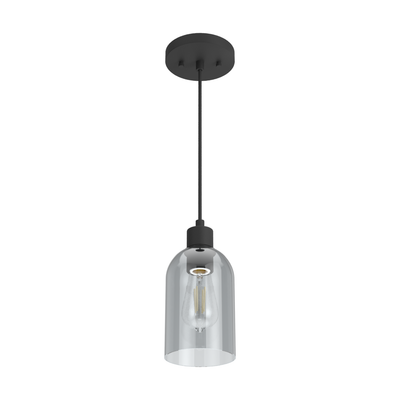 Lochemeade 4.5-inch 1-light Natural Black Iron Pendant with Smoked Glass