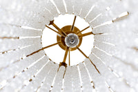 Lafayette 7 Light Chandelier