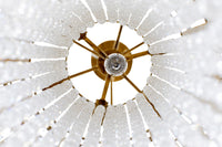 Lafayette 7 Light Chandelier