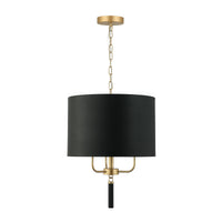 Secret Agent 3 Light Pendant