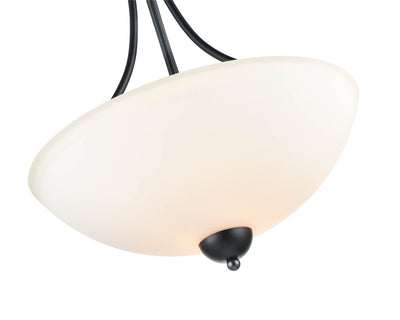 19.75'' Ivey Lake Matte Black 2 Light Pendant