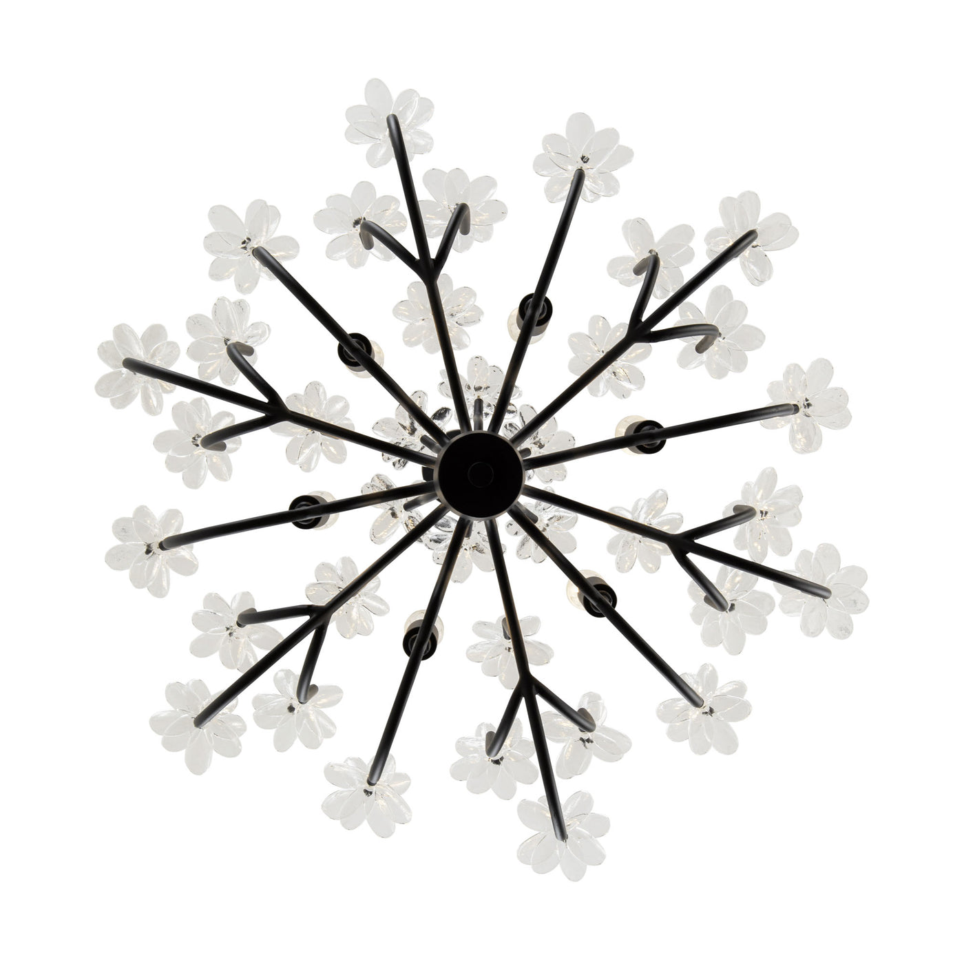 Wildflower 6 Light Chandelier