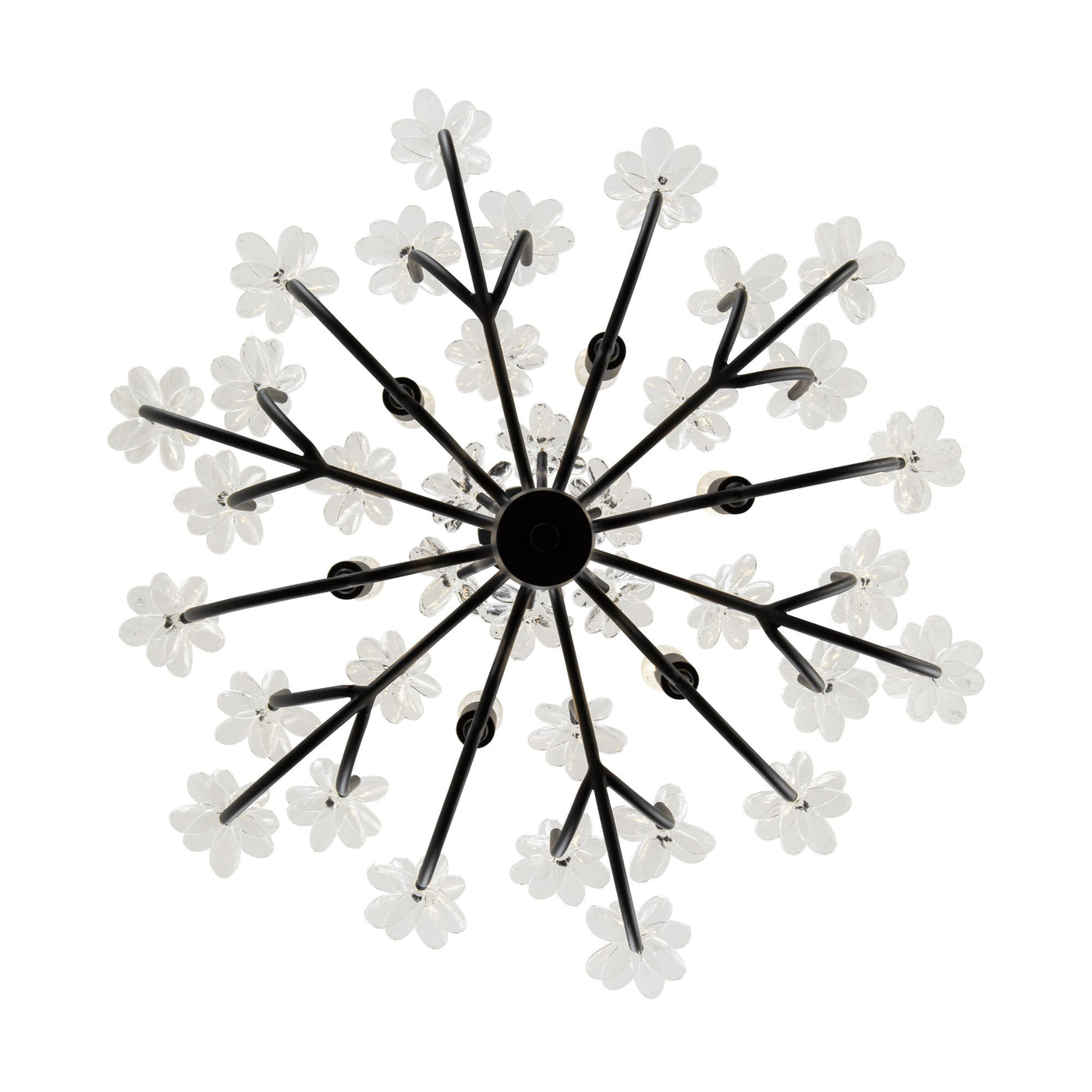 Wildflower 6 Light Chandelier
