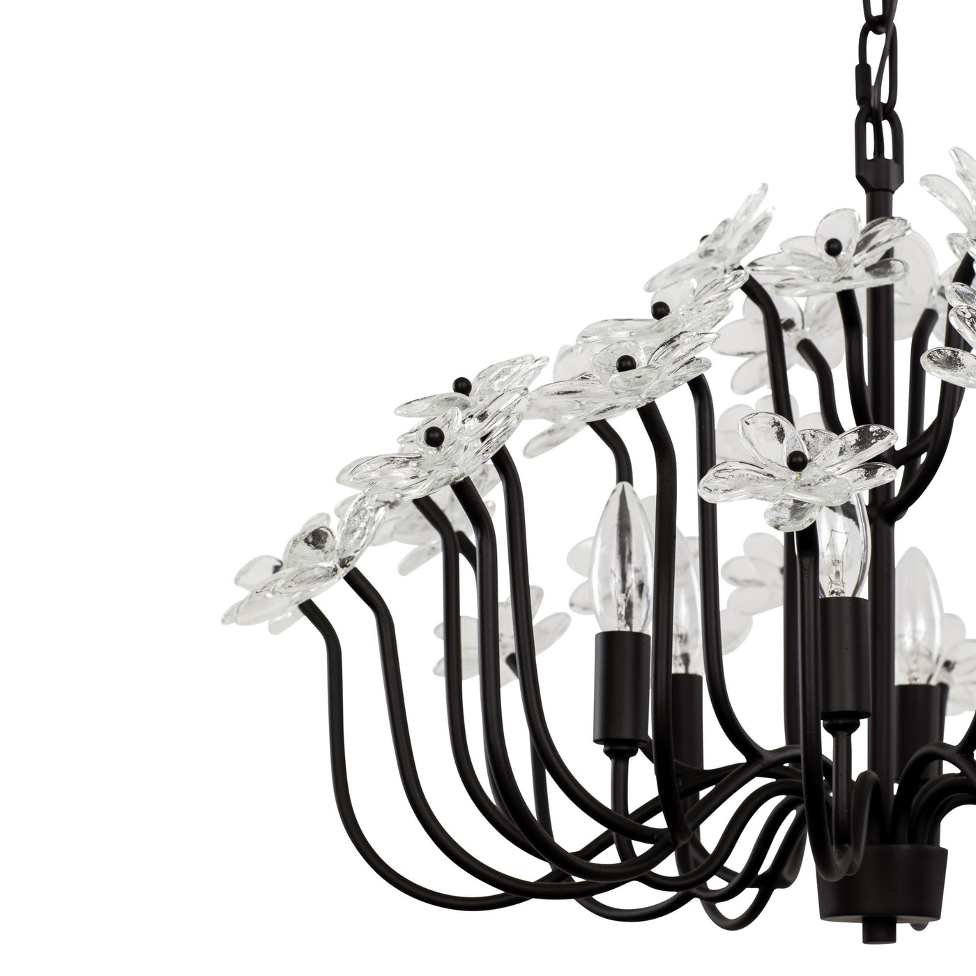 Wildflower 6 Light Chandelier