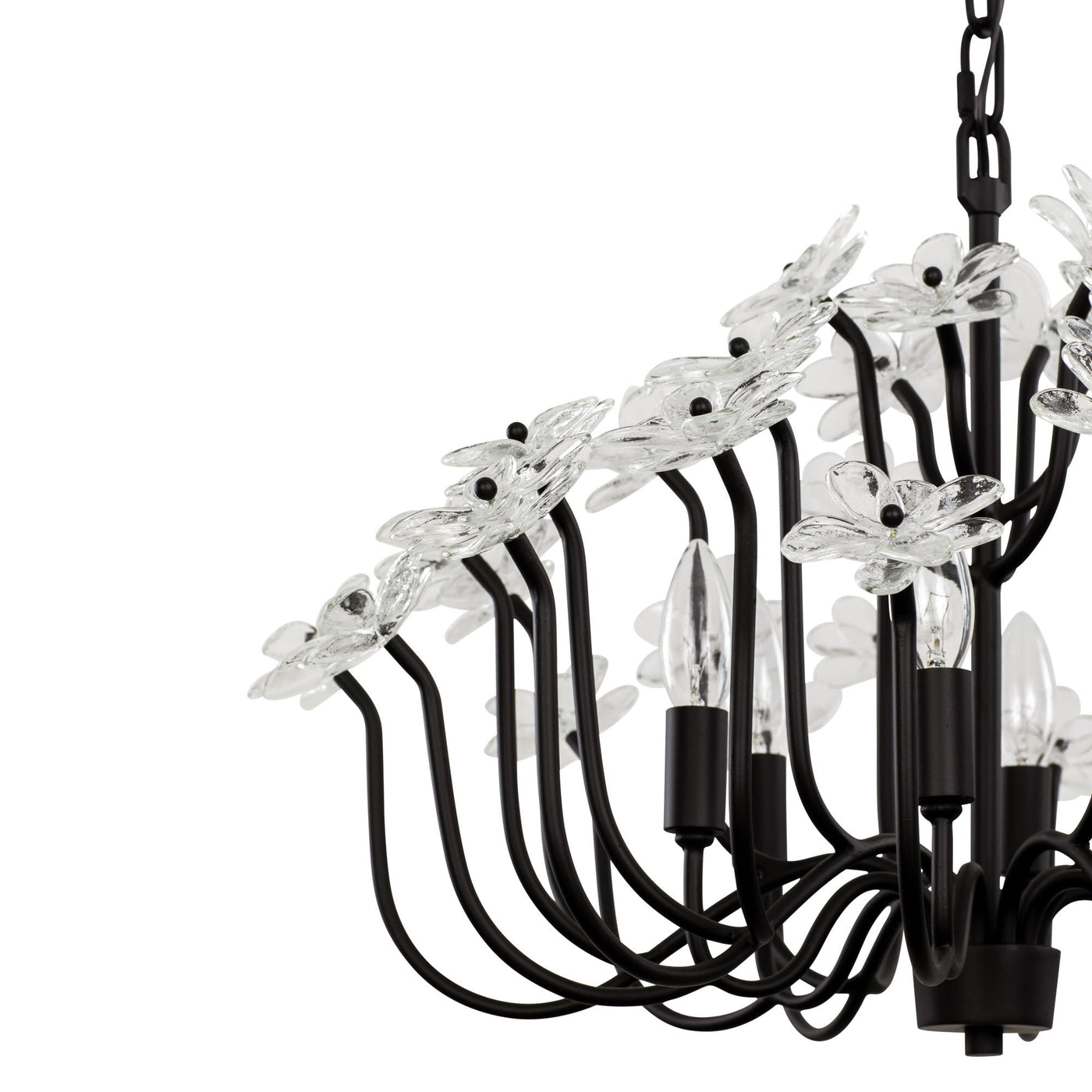 Wildflower 6 Light Chandelier