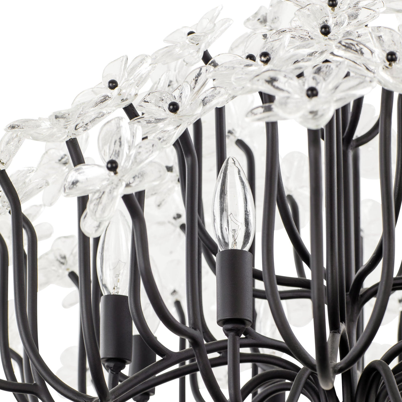 Wildflower 8 Light Chandelier