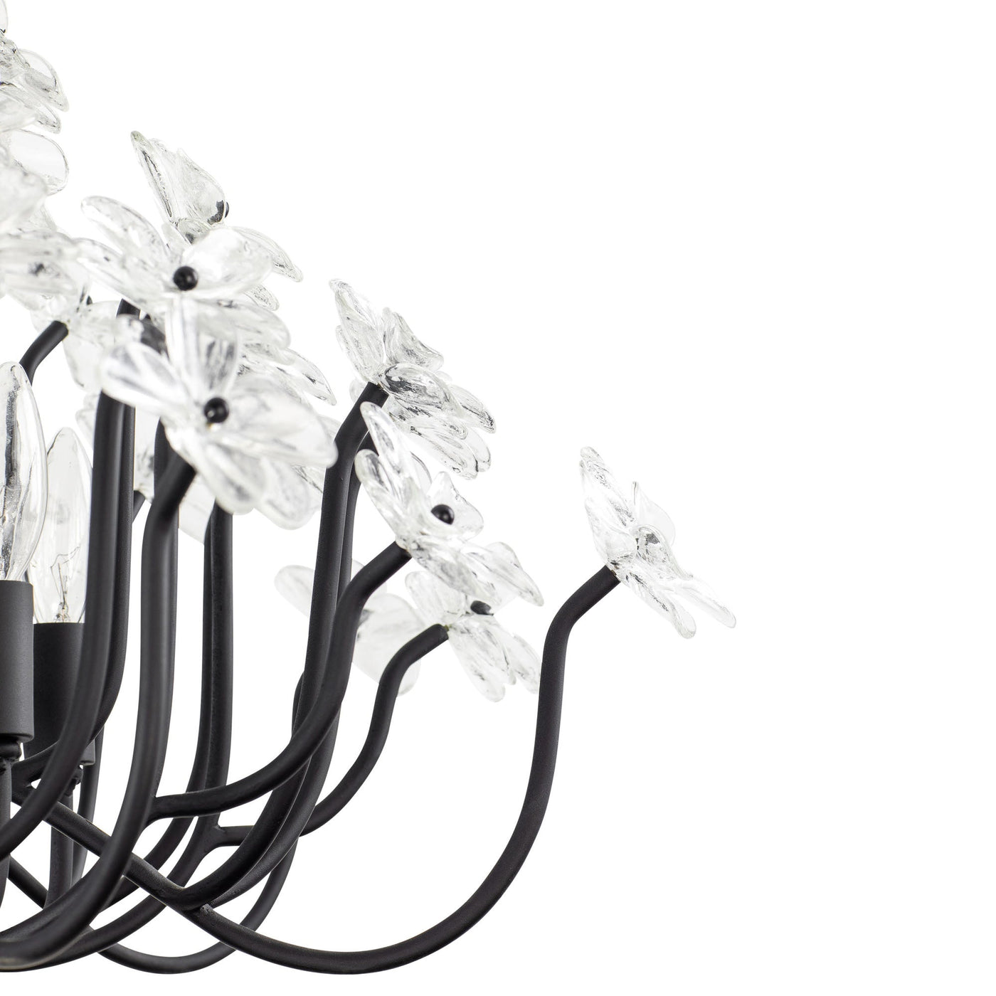 Wildflower 8 Light Chandelier