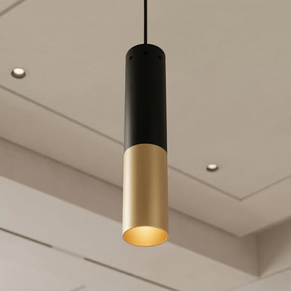 Anem 1 Light Satin Gold Mini Pendant with Matte Black Finish