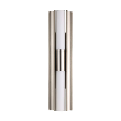 Colton 24-inch 2-light Brushed Nickel 5CCT LED Vanity Light with Etched Opal Glass Shades