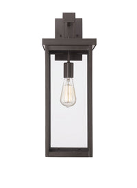 22-inch Barkeley Powder Coated Bronze 1-Light Outdoor Wall Sconce with Clear Glass