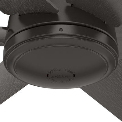 52 inch Jetty Noble Bronze WeatherMax Indoor / Outdoor Ceiling Fan and Wall Control