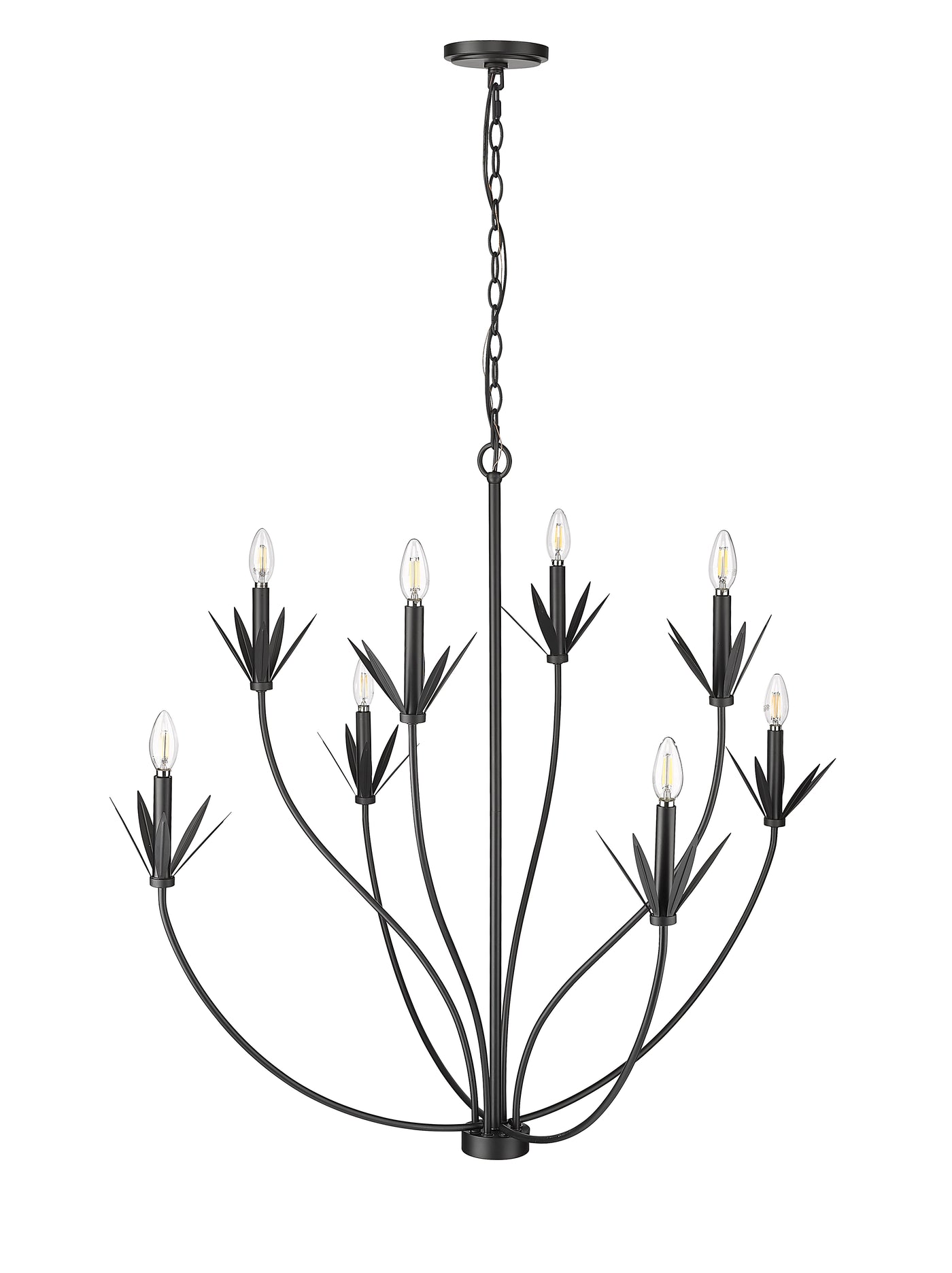 37'' Primrose Matte Black 8 Light Chandelier