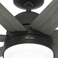 60 inch Phenomenon Wi-Fi ENERGY STAR® Matte Black Ceiling Fan with LED Light Kit and Wall Control