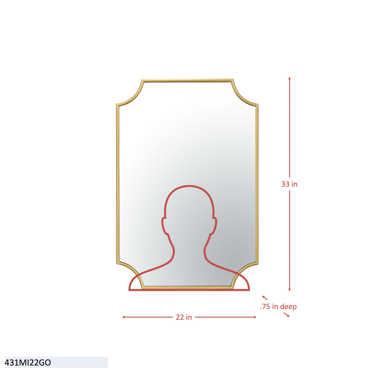 Carlton 22x33 Mirror