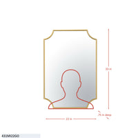 Carlton 22x33 Mirror
