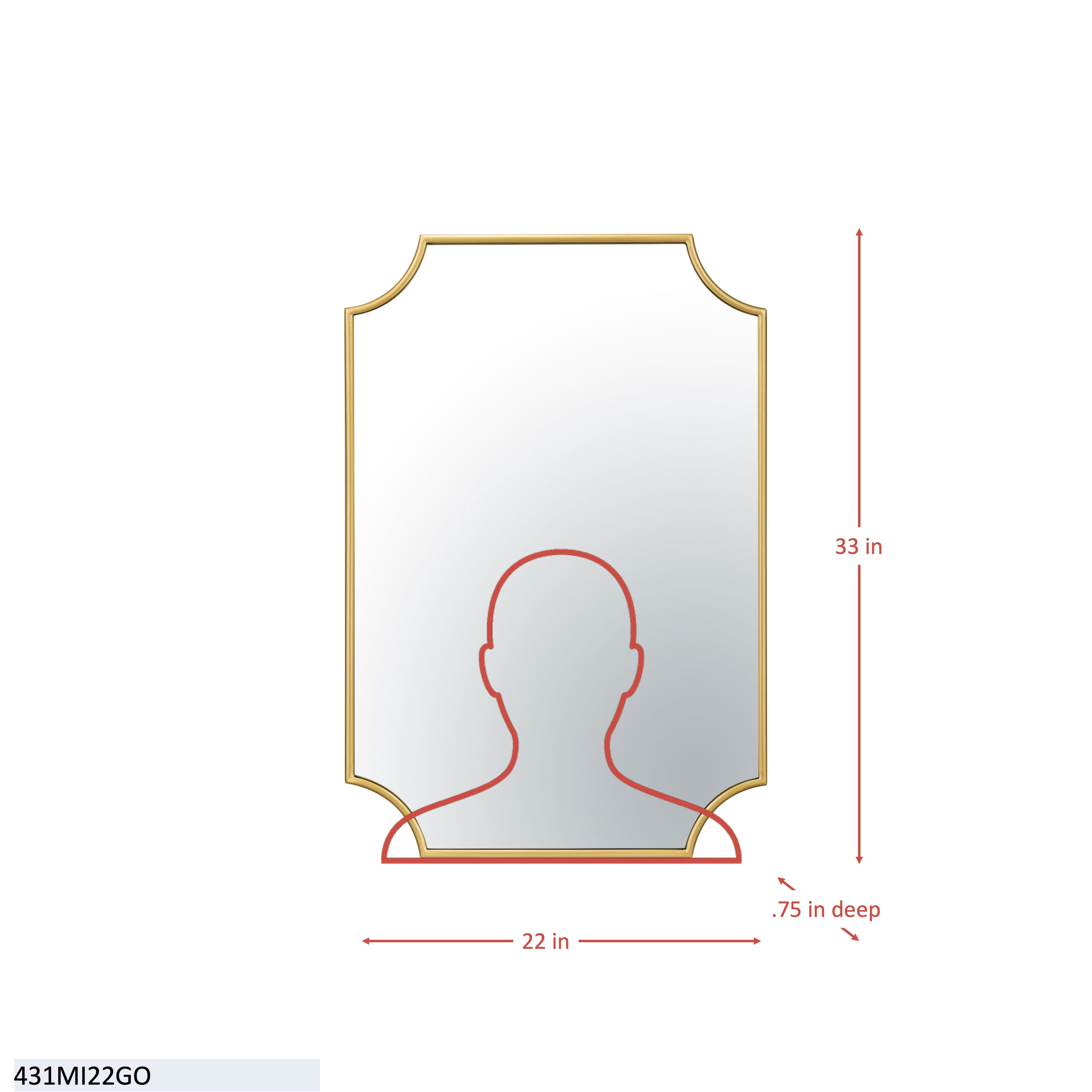 Carlton 22x33 Mirror