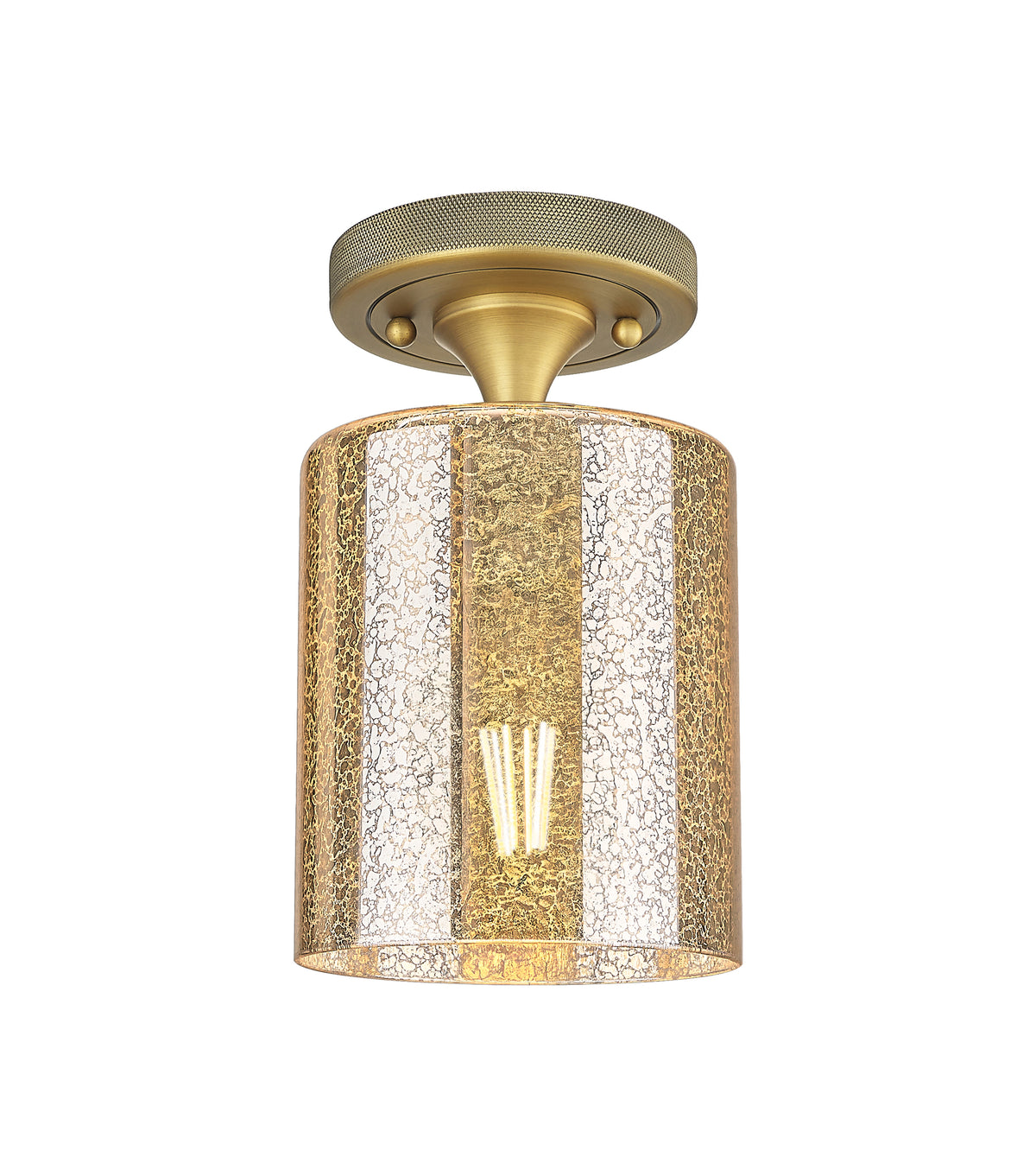 Cobbleskill 5-Inch 1-Light Semi-Flush Mount 8.5-Inch High Dimmable