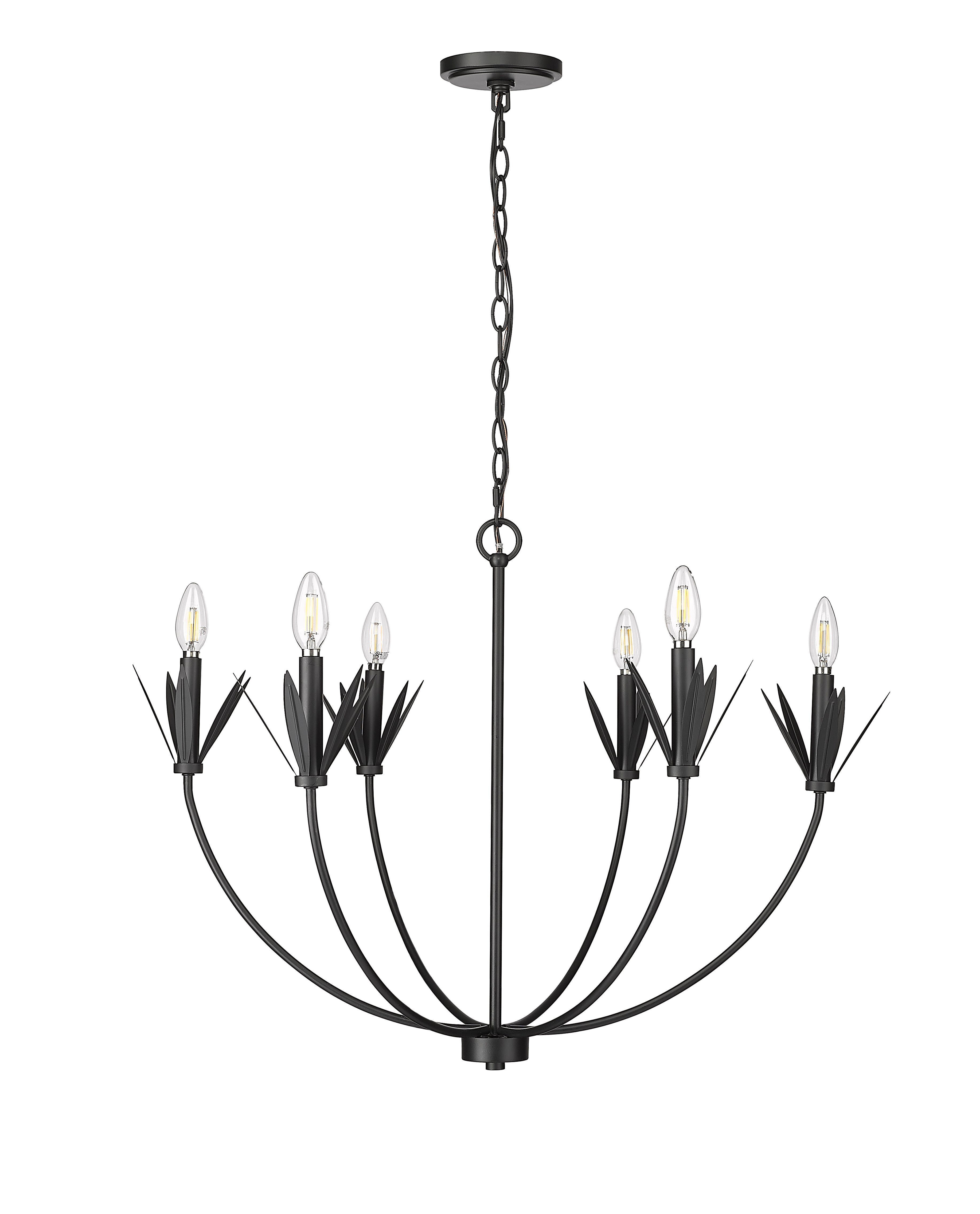 22.75'' Primrose Matte Black 6 Light Chandelier