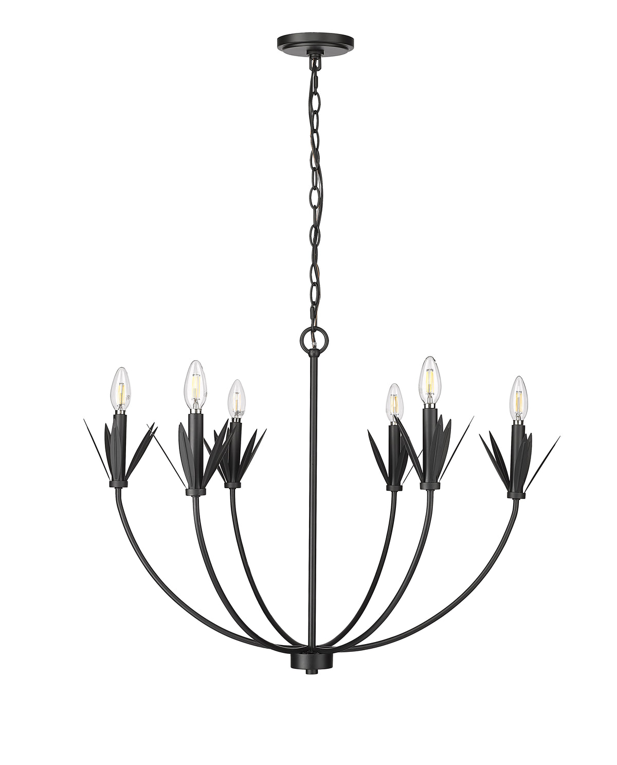 22.75'' Primrose Matte Black 6 Light Chandelier