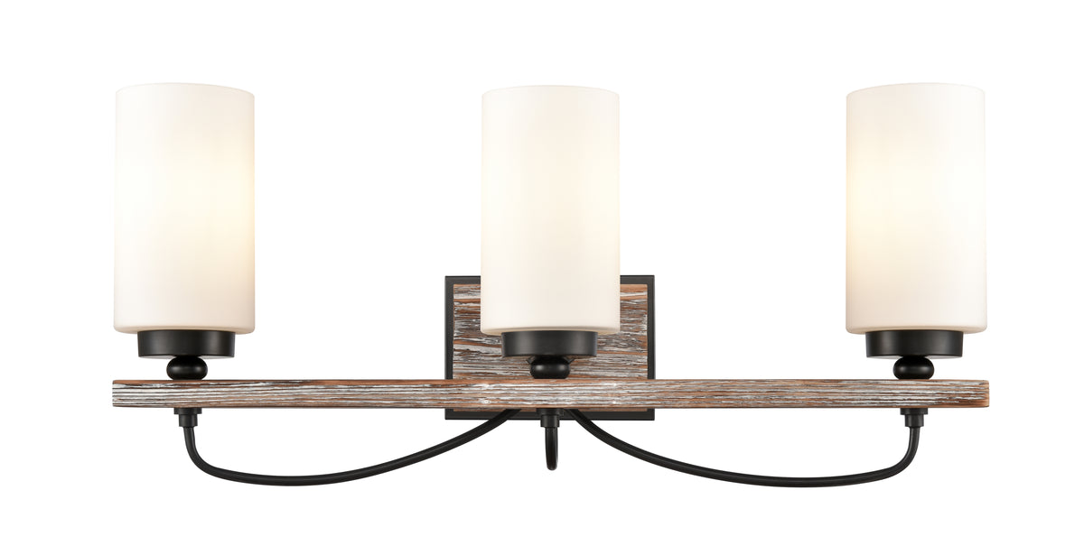 Paladin 24-Inch 3-Light Bath Vanity Light with LED Bulbs