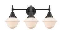 Caden Bath Vanity Light Glass Steel