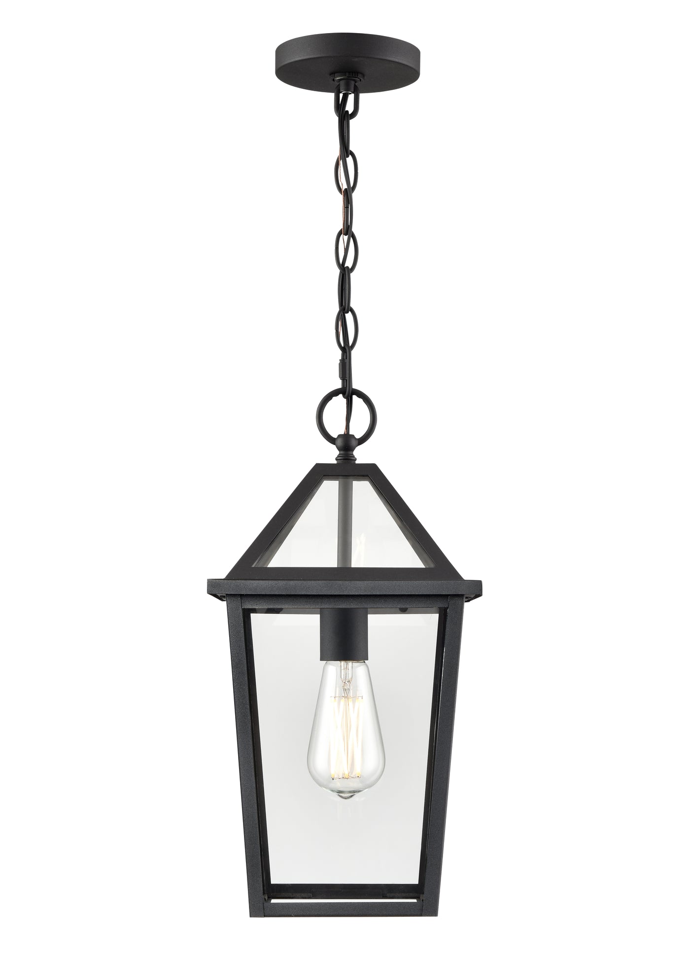 16.38'' Eston Textured Black 1 Light Hanging Lantern