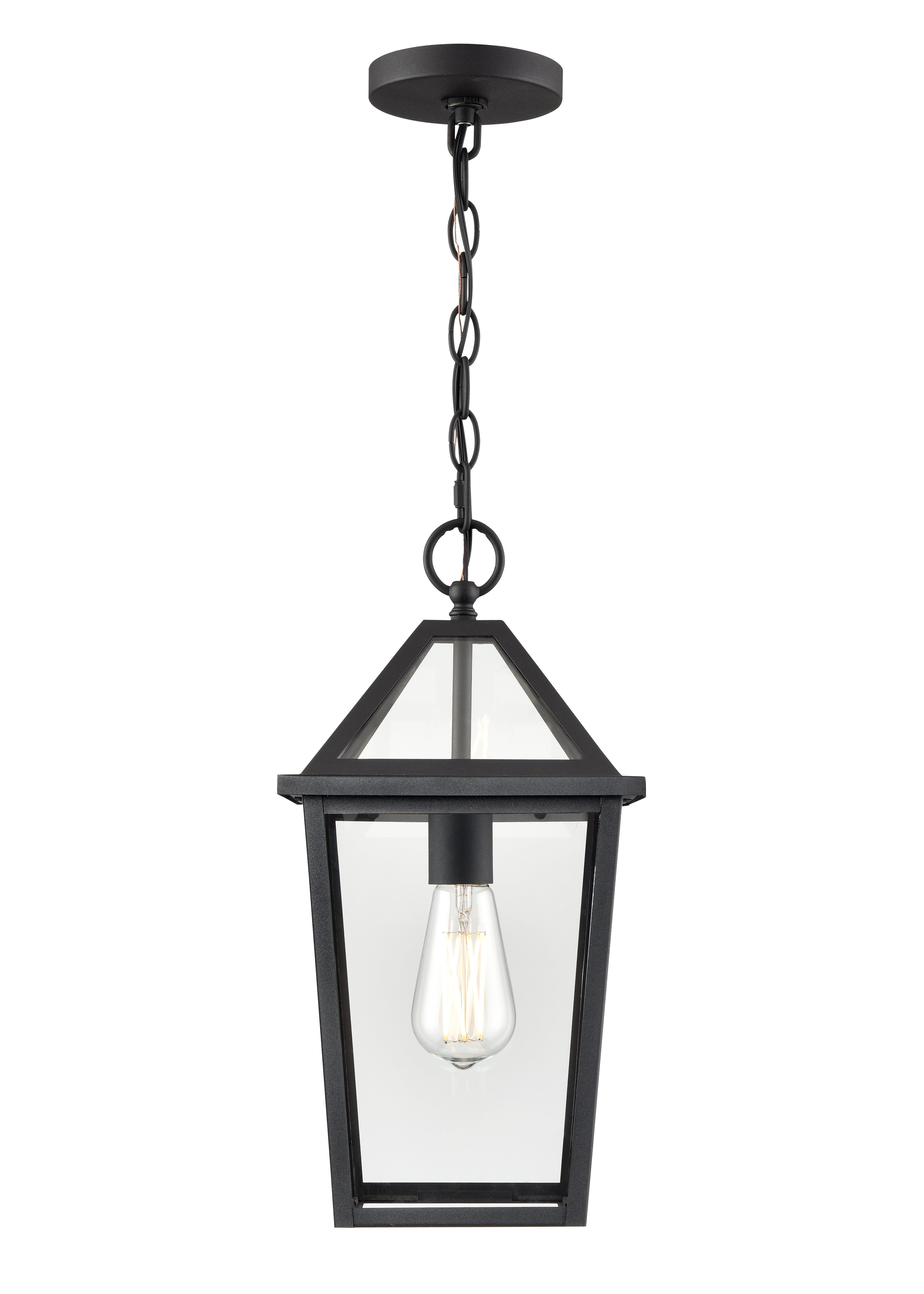 16.38'' Eston Textured Black 1 Light Hanging Lantern