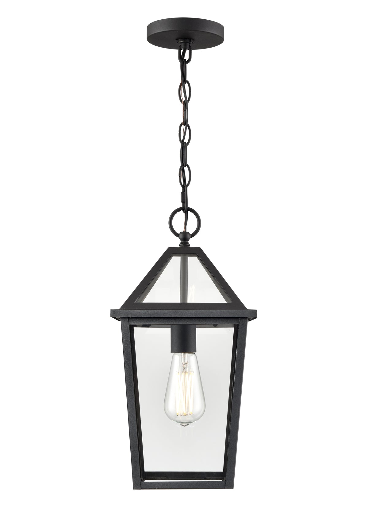 16.38'' Eston Textured Black 1 Light Hanging Lantern