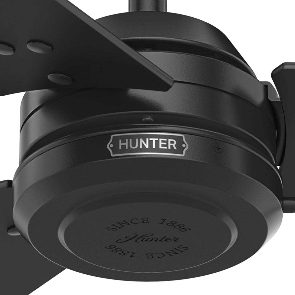 52 inch Cassius Matte Black Damp Rated Ceiling Fan and Pull Chain