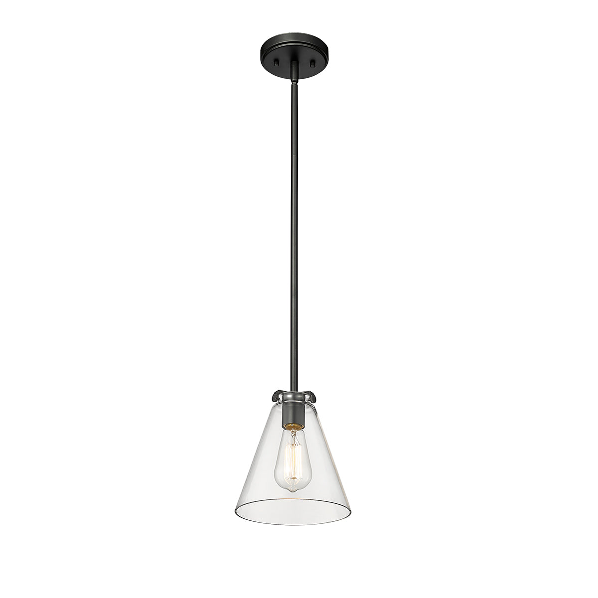 8'' Aliza Matte Black 1 Light Pendant