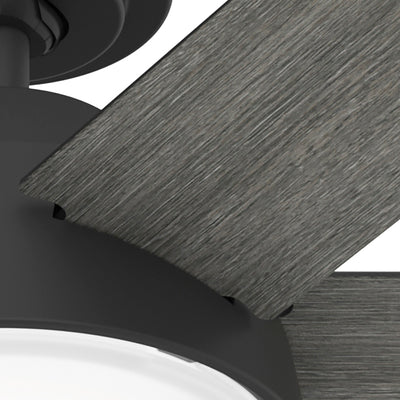 52 inch Donatella Matte Black Ceiling Fan with LED Light Kit and Handheld Remote