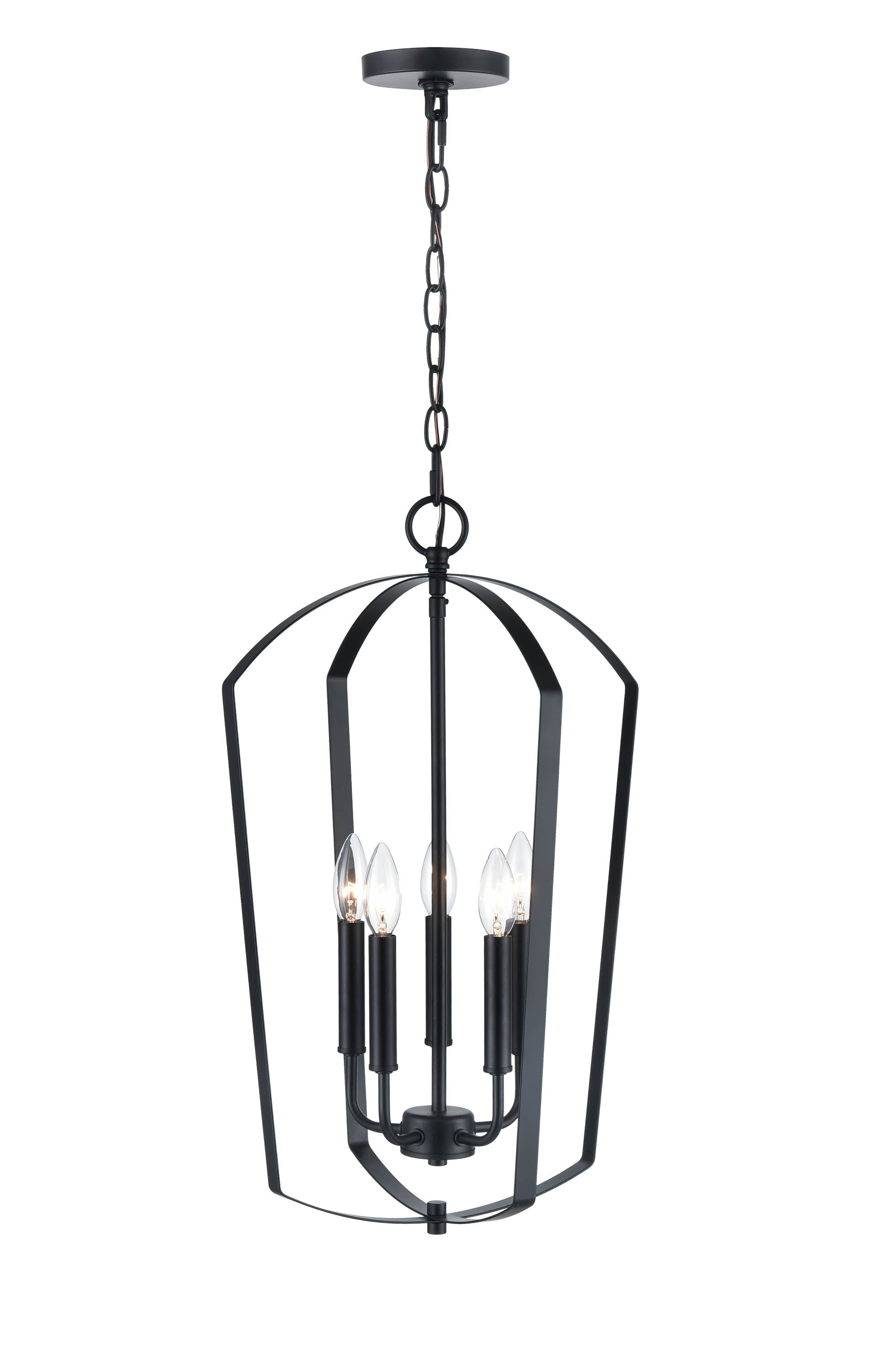24'' Ivey Lake Matte Black 5 Light Pendant