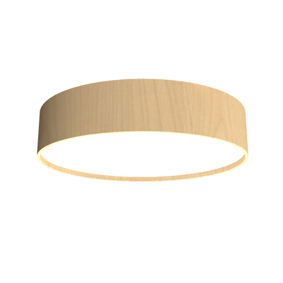 5.91'' Minimalist Cylindrical LED Accord Flush Mount Light