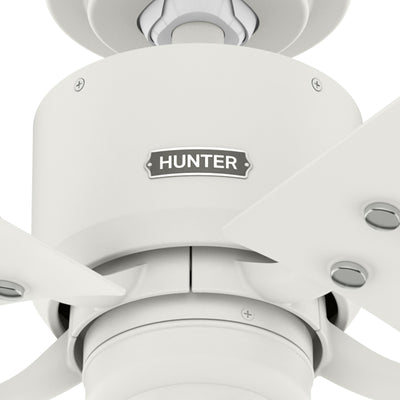 52 inch Windbound Matte White Damp Rated Ceiling Fan and Pull Chain
