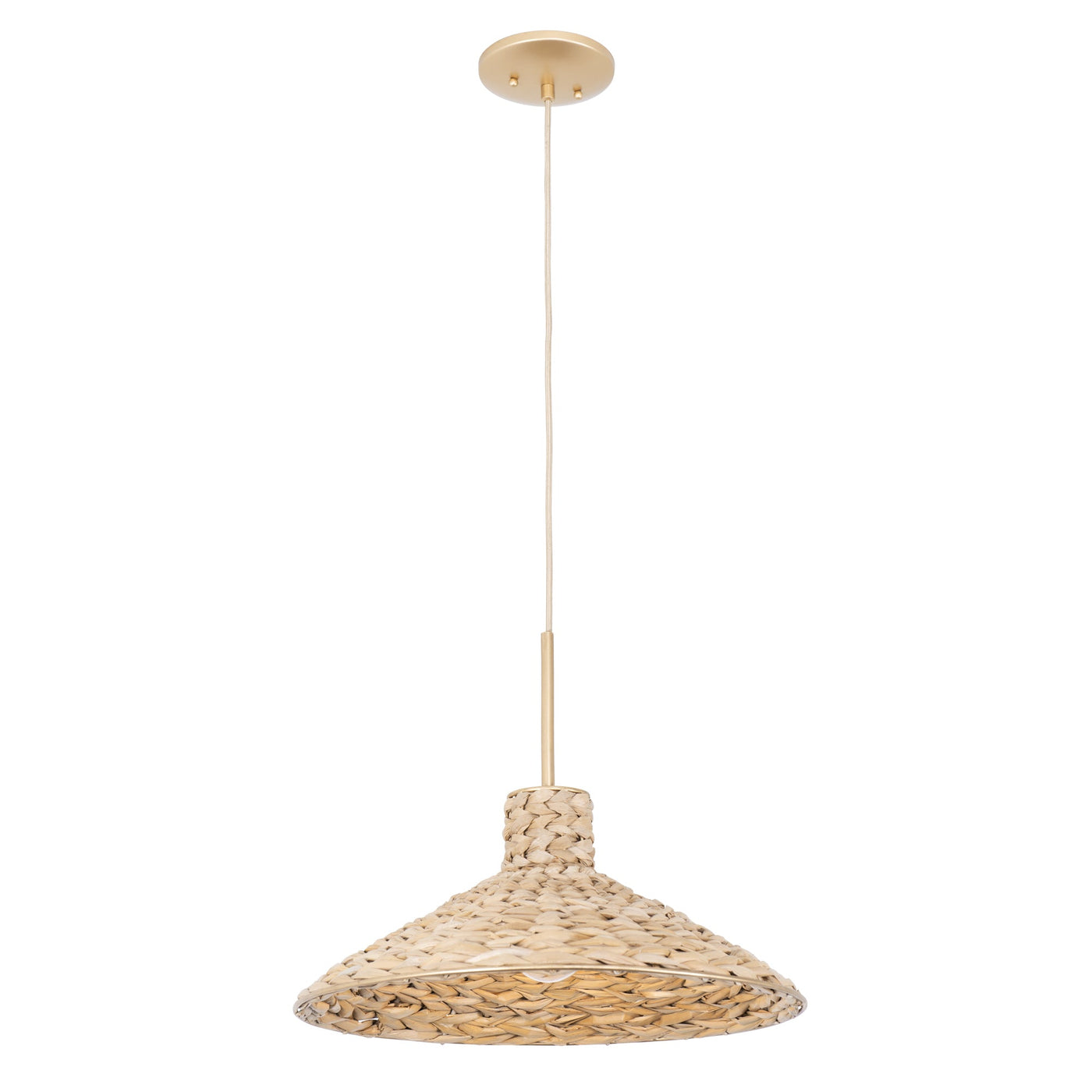 Hilton Head 1 Light Medium Pendant