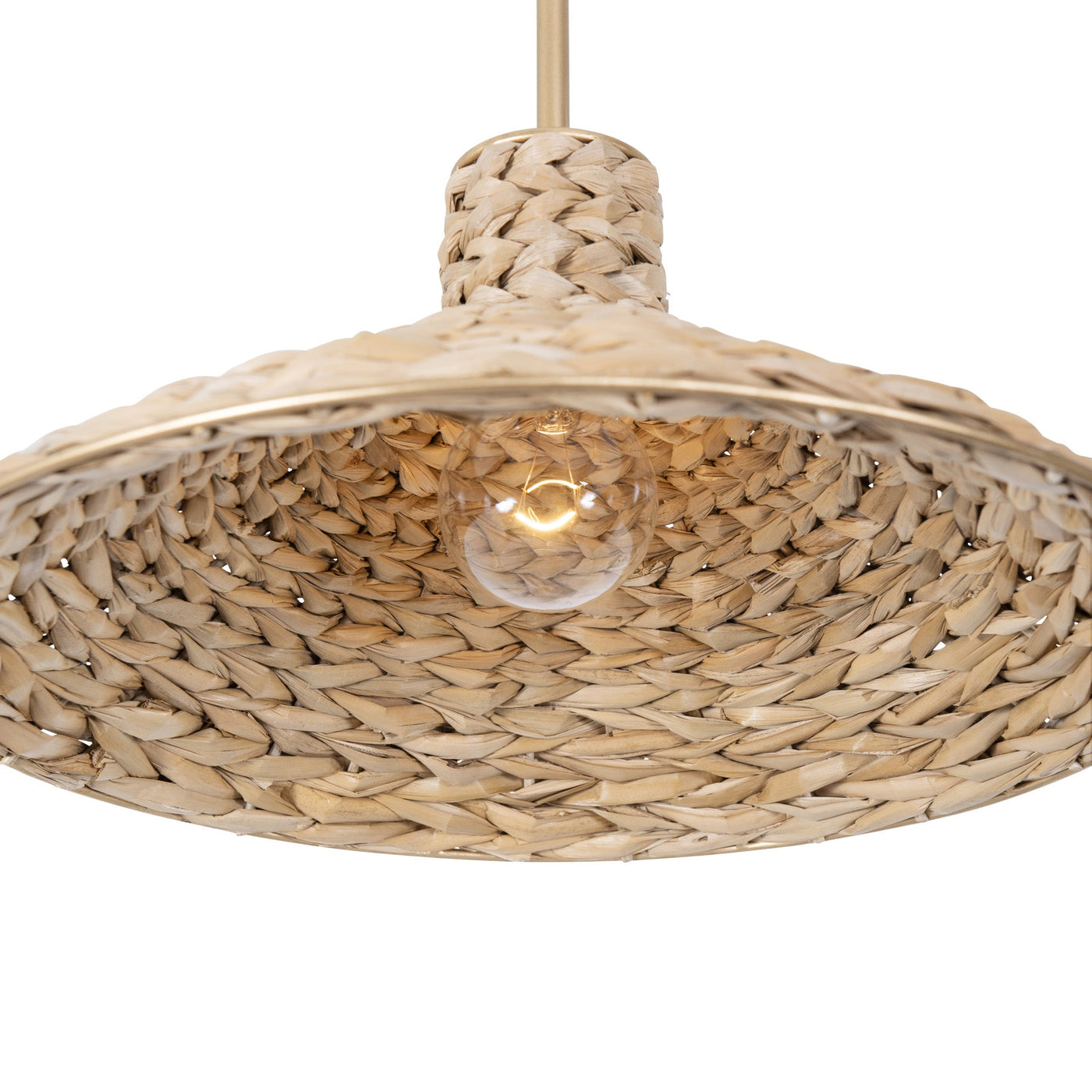 Hilton Head 1 Light Medium Pendant