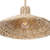 Hilton Head 1 Light Medium Pendant