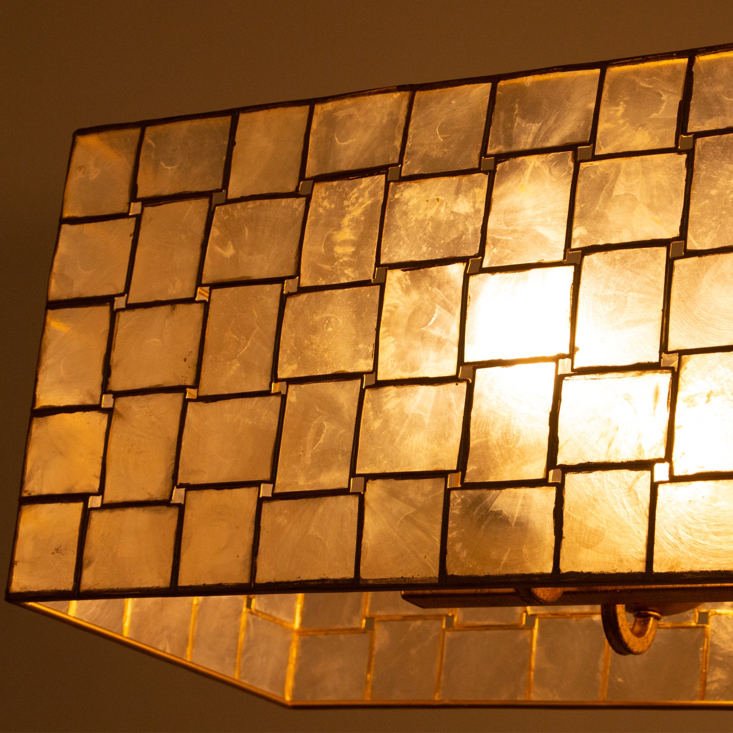 14.25'' Roxy 10 Light Oxidized Gold Leaf Linear Pendant