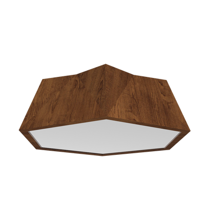 5.91'' Physalis Accord Flush Mount Light