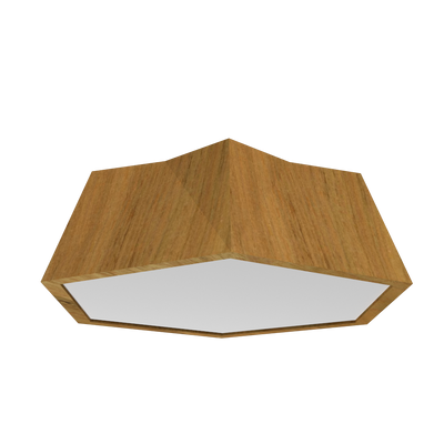 5.91'' Physalis Accord Flush Mount Light