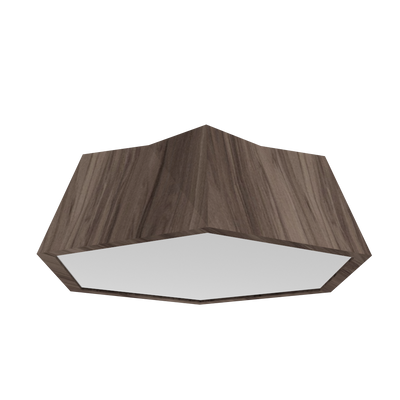 5.91'' Physalis Accord Flush Mount Light