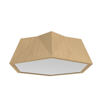 5.91'' Physalis Accord Flush Mount Light