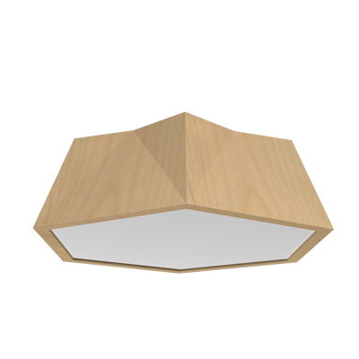 5.91'' Physalis Accord Flush Mount Light