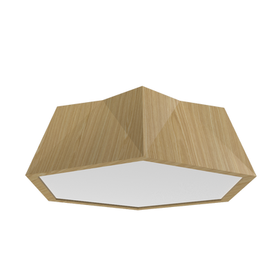 5.91'' Physalis Accord Flush Mount Light