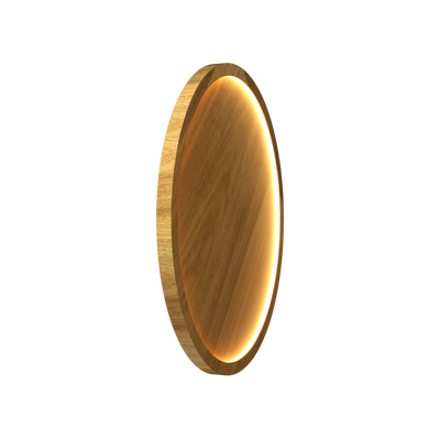 3.54'' Minimalist NaiÃ¡ LED Accord Flush Mount Light