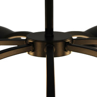 16'' Redding 5 Light Matte Black w/ Winter Brass Chandelier