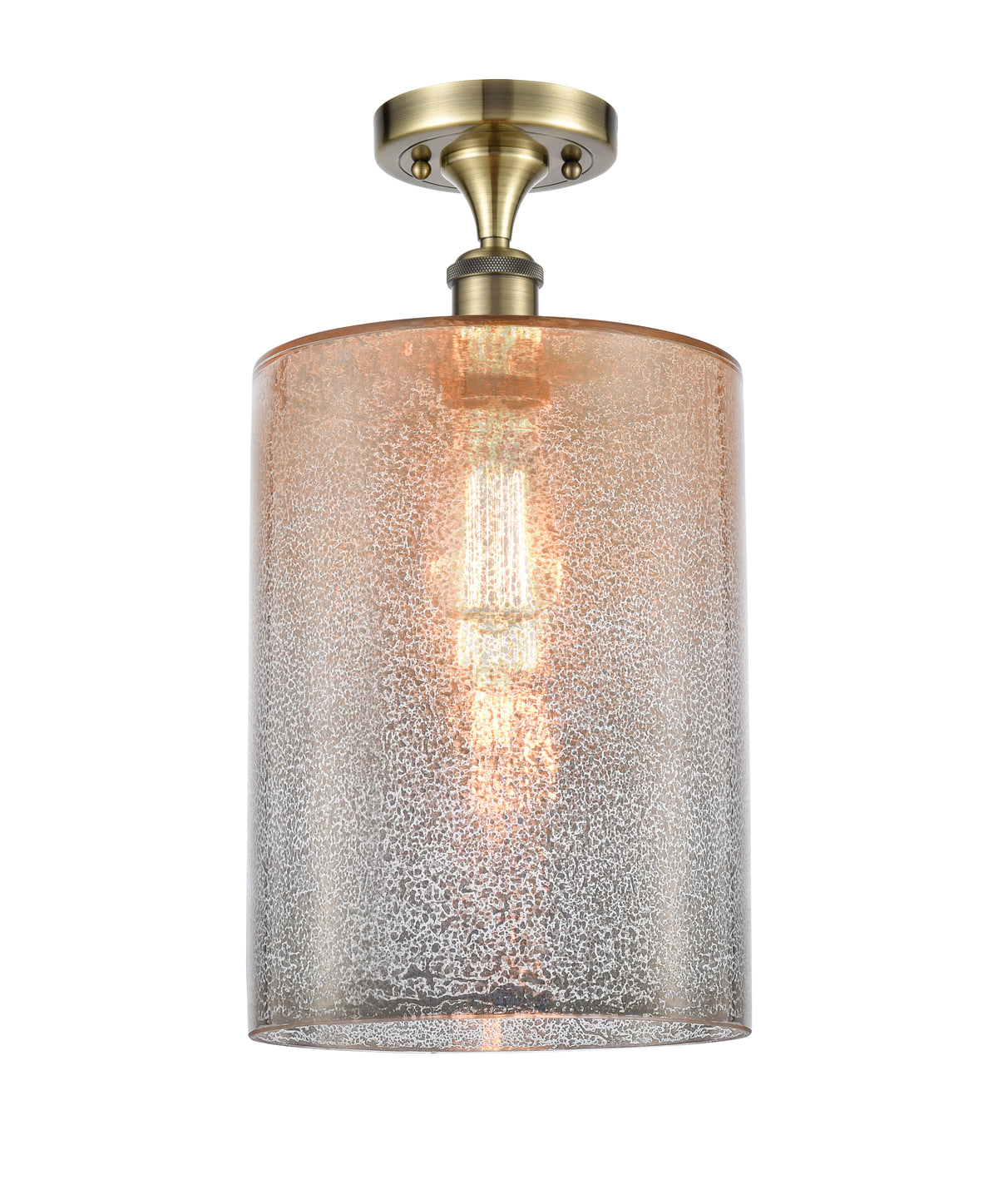Cobbleskill 9-Inch 1-Light Semi-Flush Mount with LED Bulb
