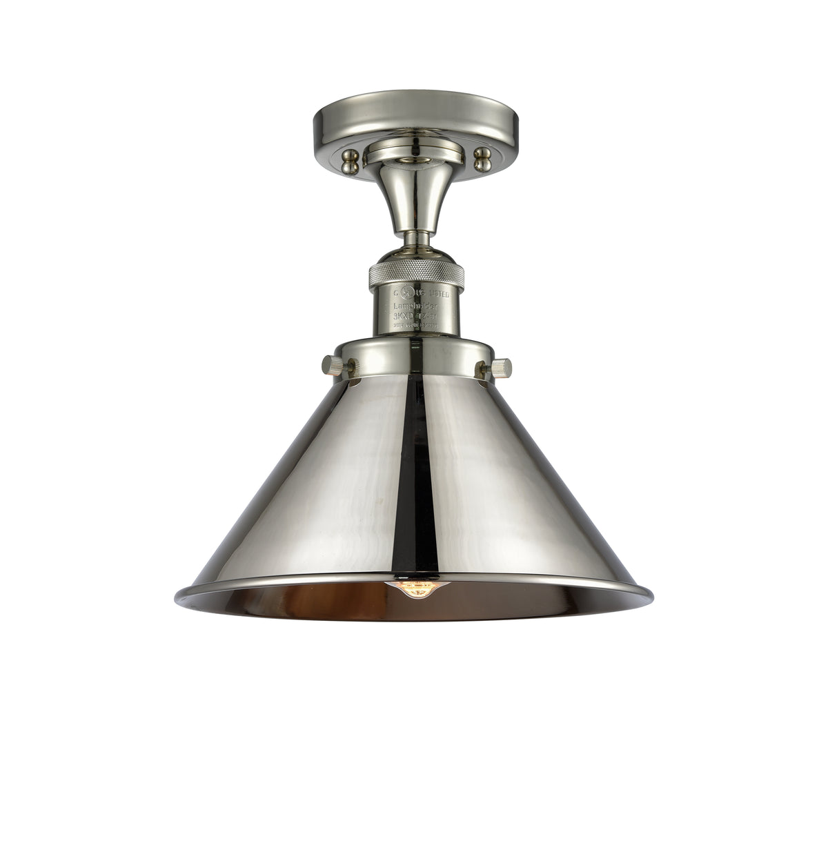 Briarcliff 10-Inch 1-Light Semi-Flush Mount with LED Bulb 11-Inch High